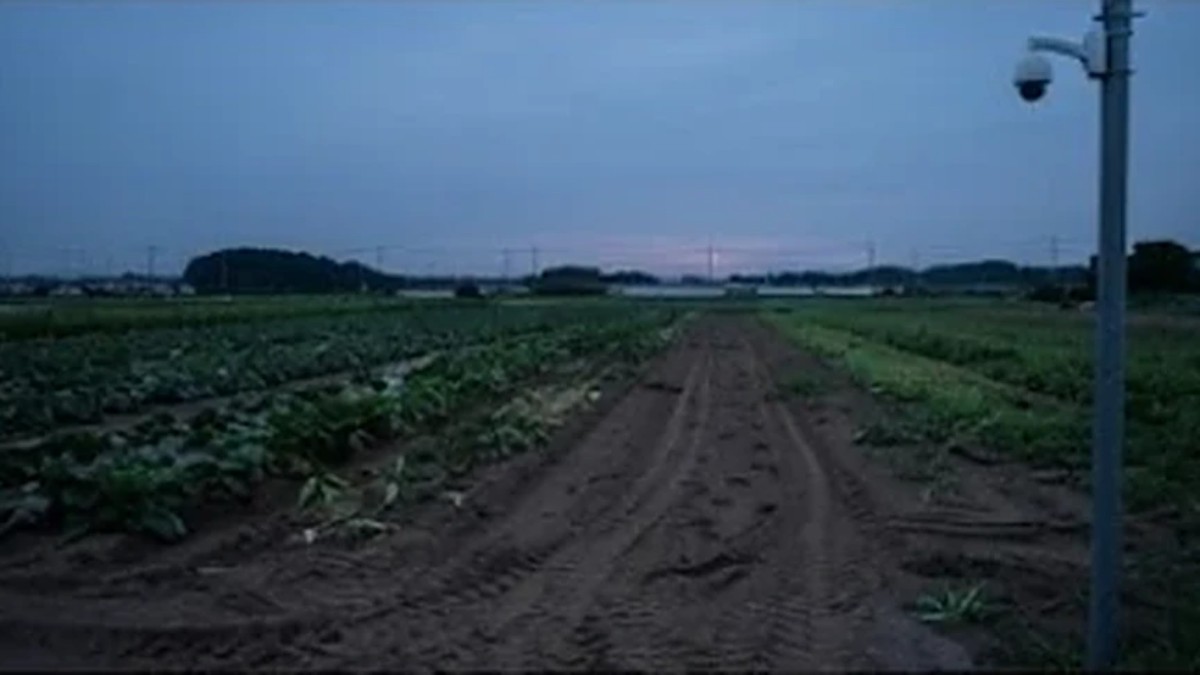 タイヤの跡が残る畑と電柱の防犯カメラ