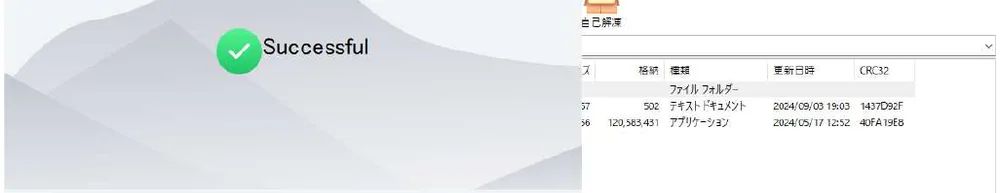 青い横棒が伸びて［Successful］が出たら、［Finish］をクリックします。