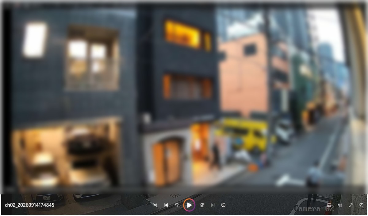 バックアップした動画がパソコンで再生されている画面