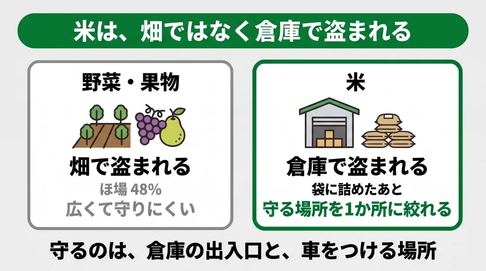米は畑ではなく倉庫で盗まれる。野菜・果物は畑で盗まれ（ほ場48％）広くて守りにくいが、米は袋に詰めたあと倉庫で盗まれるため、守る場所を1か所に絞れる。守るのは倉庫の出入口と車をつける場所